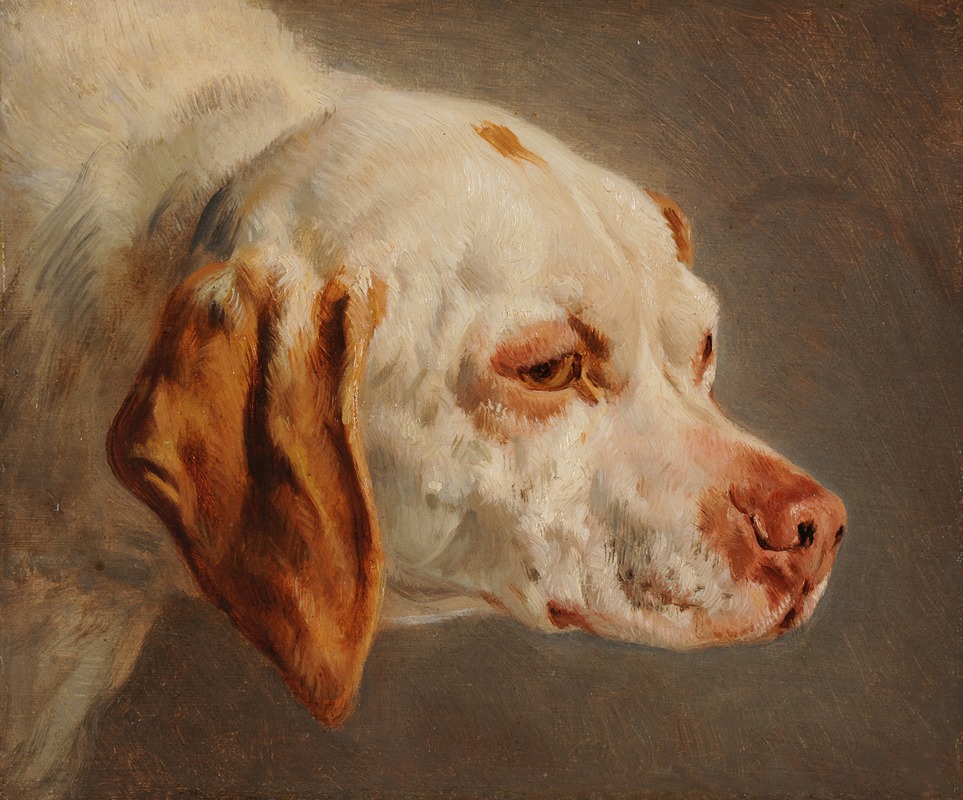 Tête de chien de chasse blanc et brun — Jacques-Raymond Brascassat
