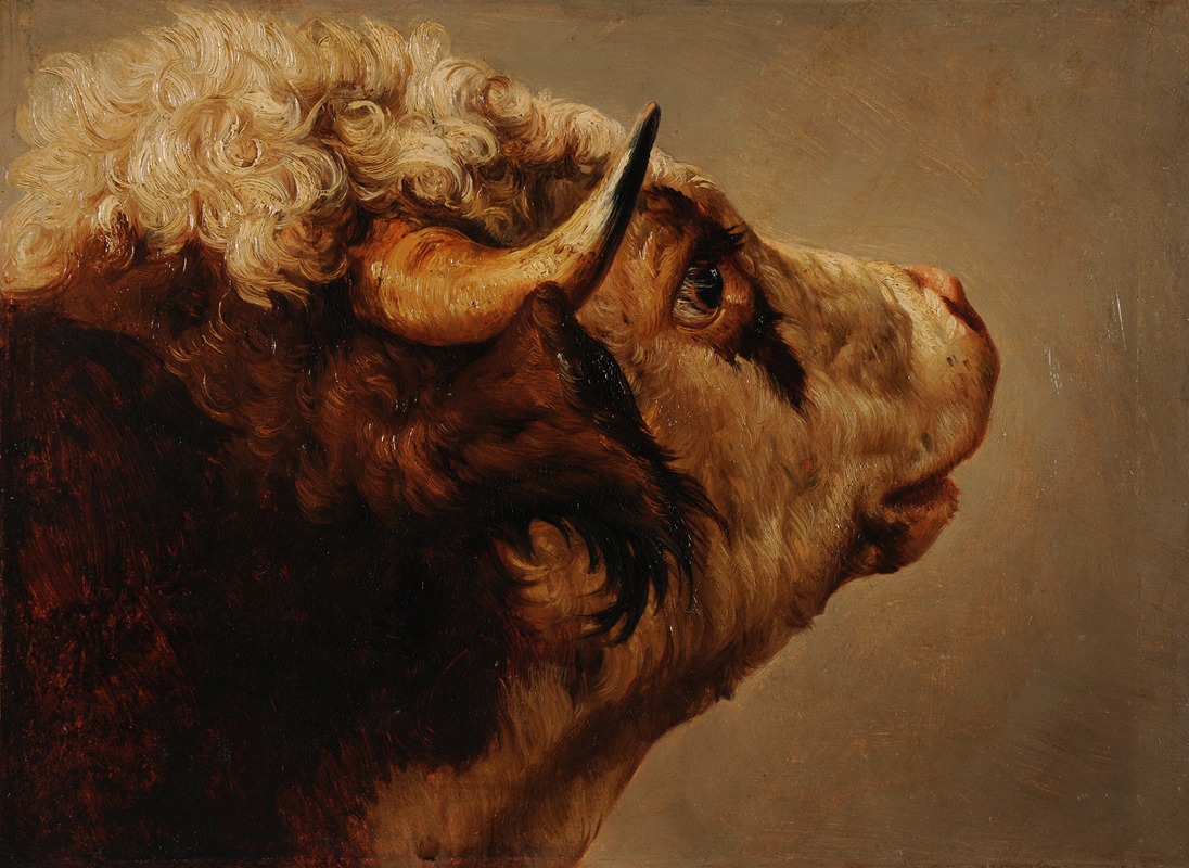 Tête de vache by Jacques-Raymond Brascassat — digital art print download