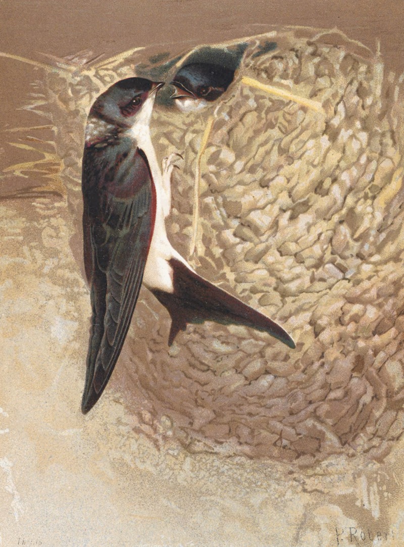 Hirondelle de Fenétre by Léo-Paul Robert, 1880 — digital art print download