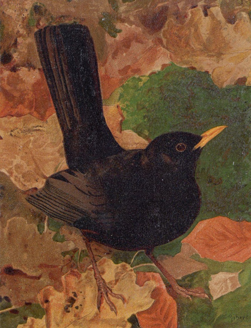 Merle Noir by Léo-Paul Robert, 1880 — digital art print download