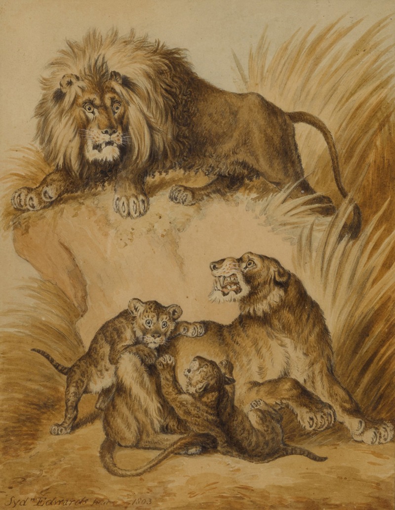 A Lion, Lioness and two cubs by Sydenham Edwards — digital art print download