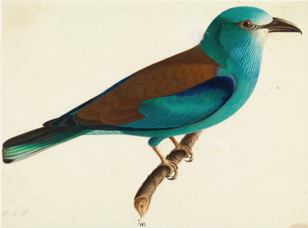 The European Roller by Wilhelm von Wright — digital art print download