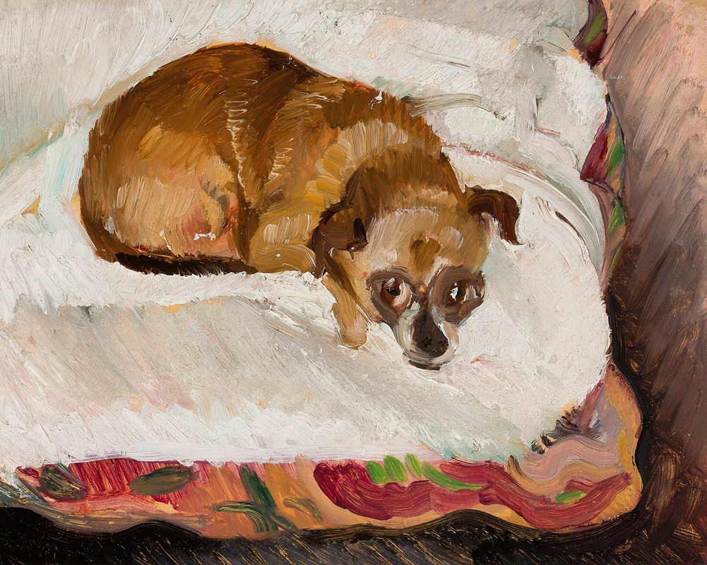 Lying dog by Зигмунт Валишевский — digital art print download