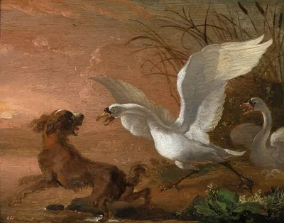 A swan attacking a dog by Абрахам Хондиус — digital art print download
