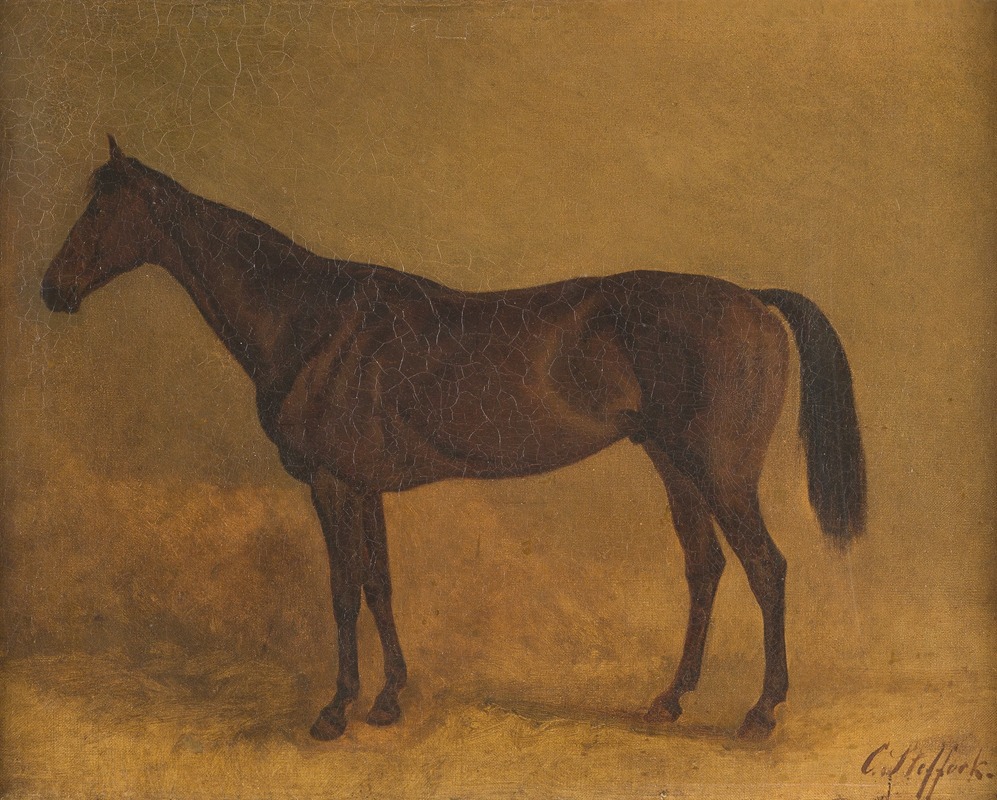 Brown race horse by Карл Штеффек — digital art print download