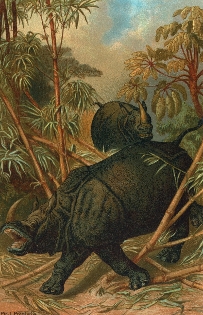 Rhinoceros. by John George Wood, 1898 — digital art print download