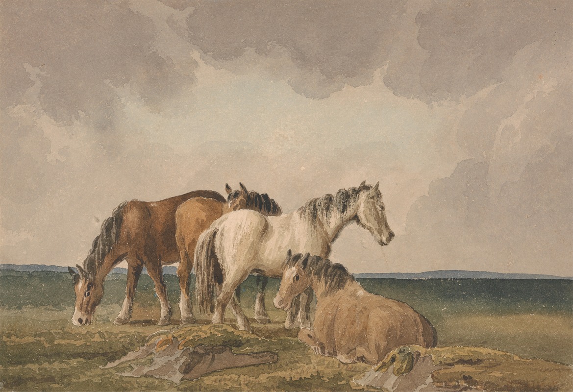Four Ponies on a Welsh Moor by Томас Кресвик — digital art print download