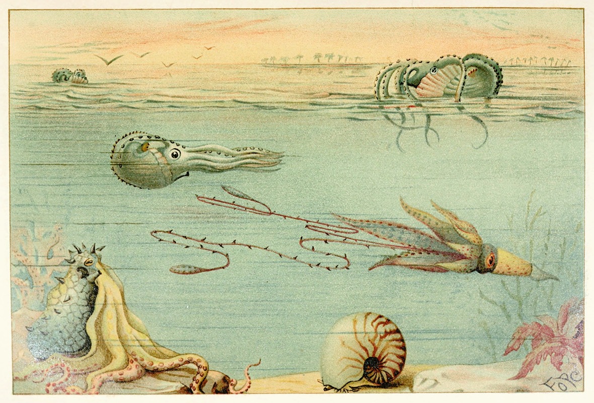 Cephalopoda by Аноним, 1893-1896 — digital art print download