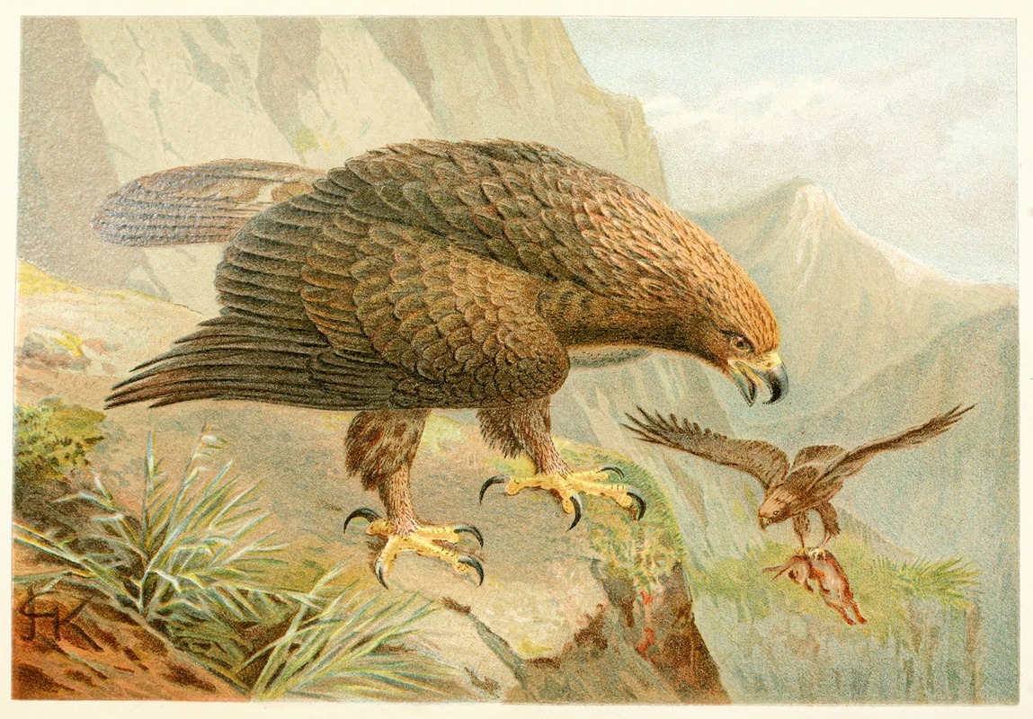 Golden Eagle by Аноним, 1893-1896 — digital art print download