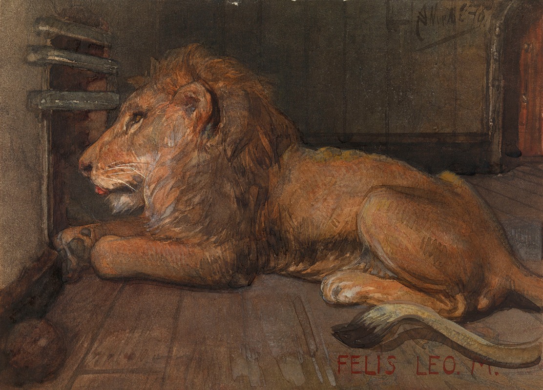 Lion in Artis, Amsterdam by Огюст Аллебе, 1876 — digital art print download