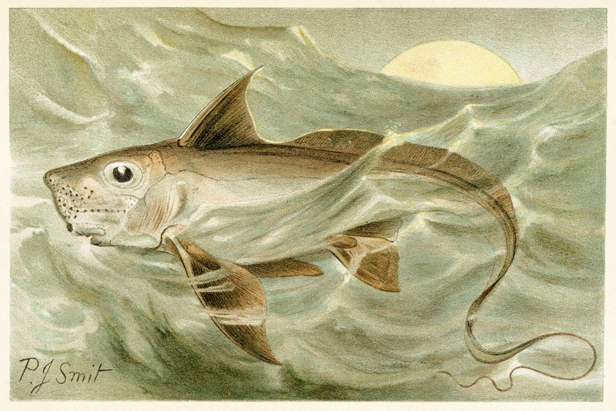 Chimaera by Pierre Jacques Smit, 1893-1896 — digital art print download