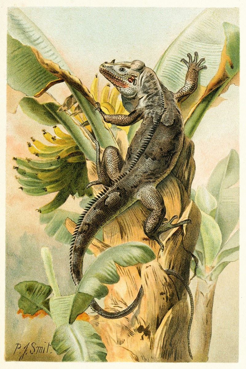 The Black Iguana by Pierre Jacques Smit, 1893-1896 — digital art print download