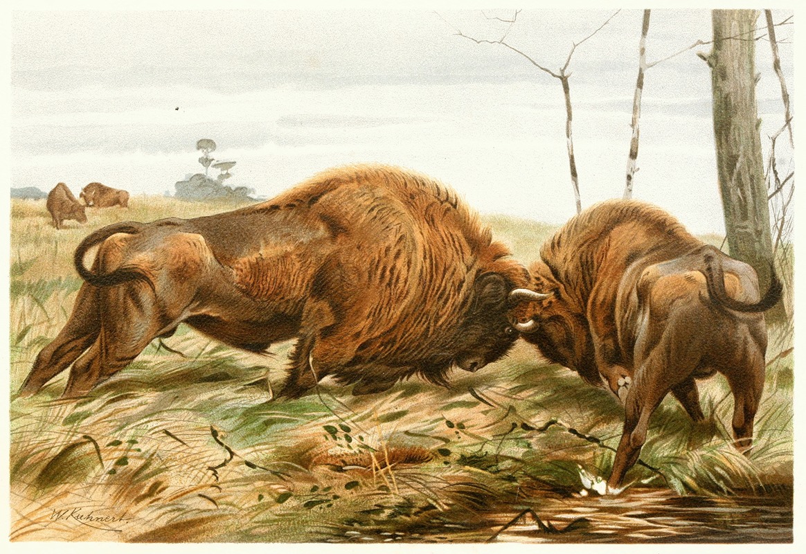 The European Bison by Вильгельм Кунерт, 1893-1896 — digital art print download