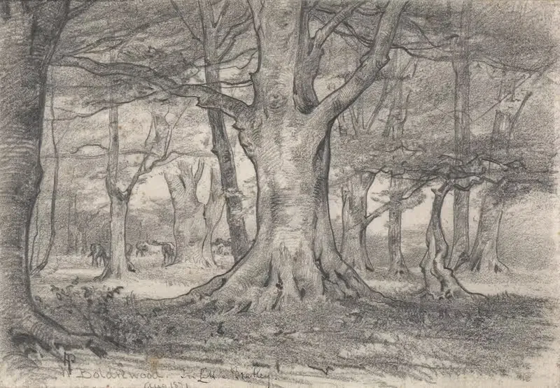 Лесной пейзаж рядом с Болдревудом by Альфред Парсонс, 1871 — digital art print download