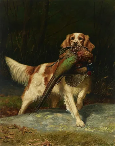 Springer Spaniel with Pheasant by Александр Поуп, 1900 — digital art print download