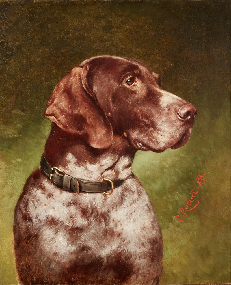 Head of a German Shorthaired Pointer by Carl Reichert — digital art print download
