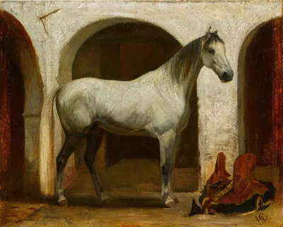 Idjéri by Жорж Вашингтон, 1854 — digital art print download