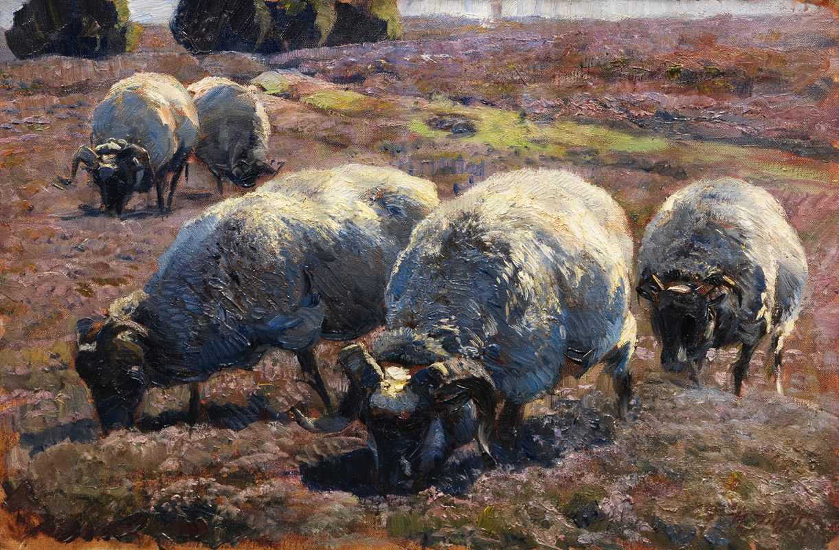 Weidende Schnucken in sonniger Heide — Heinrich Von Zügel