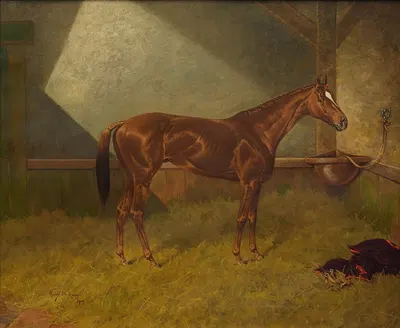 Fairplay, a Racehorse in a Stable by Henry Stull, 1909 — digital art print download