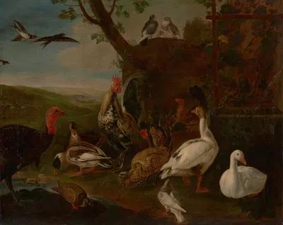 A turkey, a rooster, chickens, geese, ducks, pigeons and doves by a well in a landscape by Jan Baptist Boel — digital art…