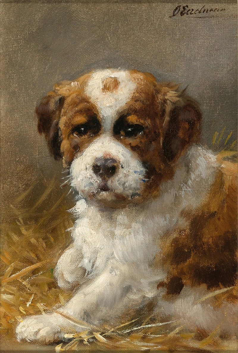 A Young St Bernard by Отто Эерелман — digital art print download