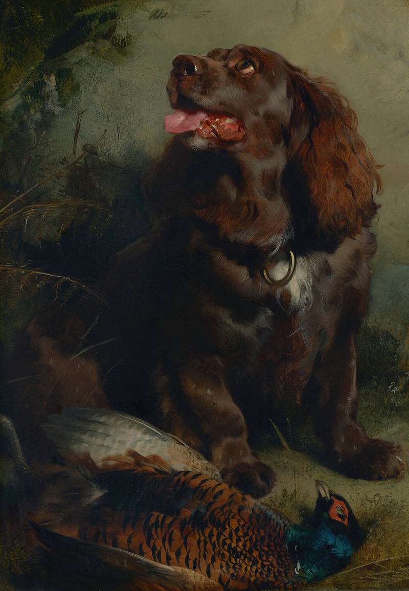 A Sussex Spaniel and a pheasant — Sir Edwin Henry Landseer