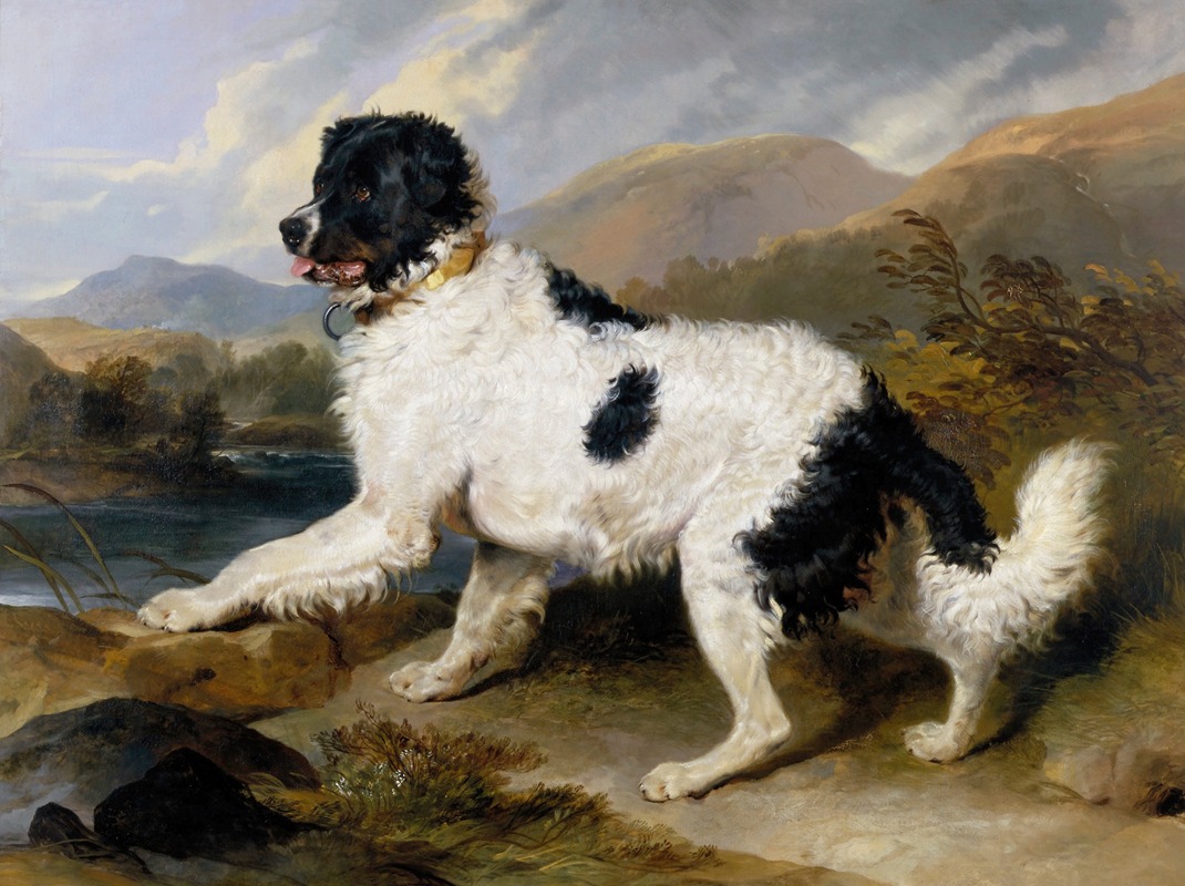 Lion; A Newfoundland Dog by Сэр Эдвин Генри Ландсир, 1824 — digital art print download