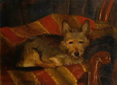 Dog on a chair by Сэр Джон Лавери, 1882 — digital art print download