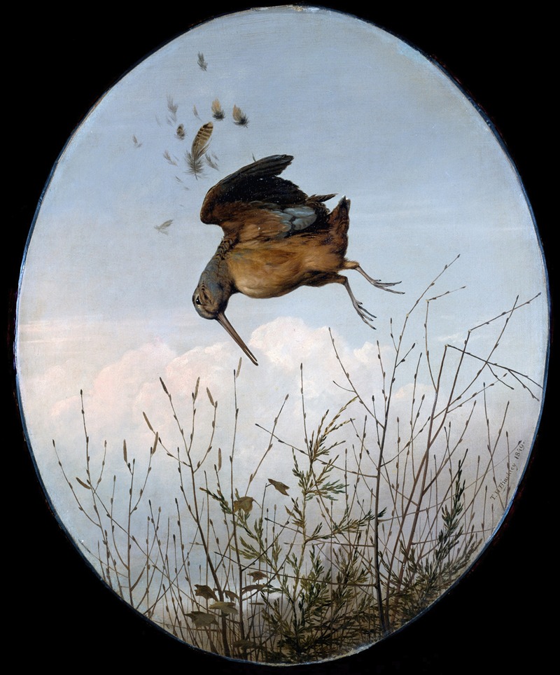 Woodcock by Томас Хьюз Хинкли, 1849 — digital art print download