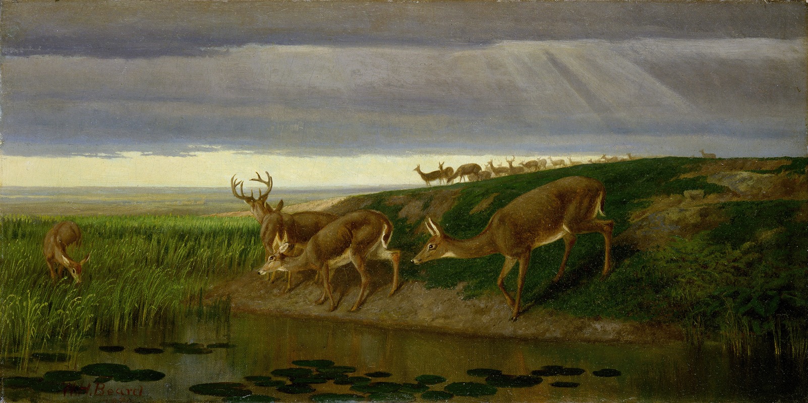 Deer on the Prairie by Уильям Холбрук Бирд, 1884 — digital art print download