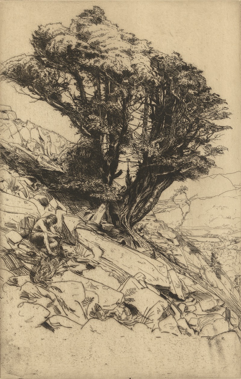 A Yew Tree on Glaramara by Charles Holyroyd — digital art print download