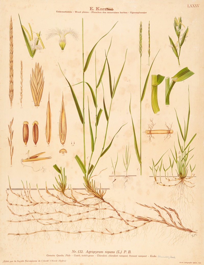 Couch, twitch-grass by Sara Mørk, 1913 — digital art print download
