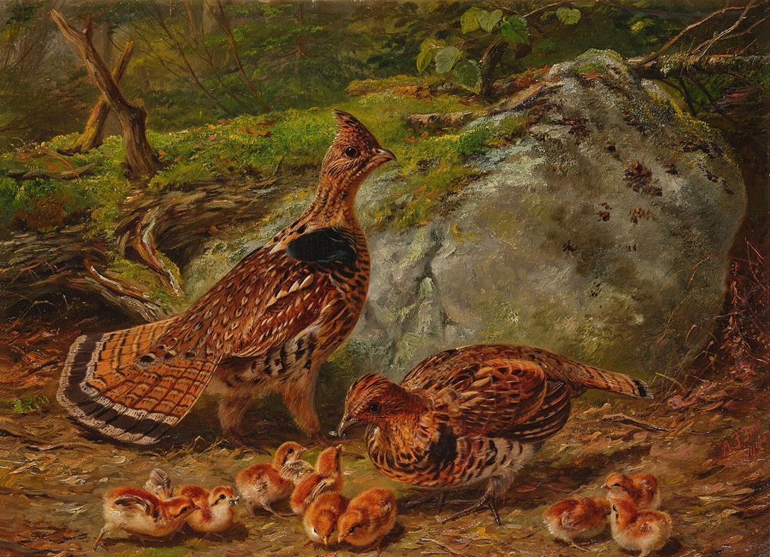 Ruffed Grouse by Артур Фицвильям Тейт, 1863 — digital art print download