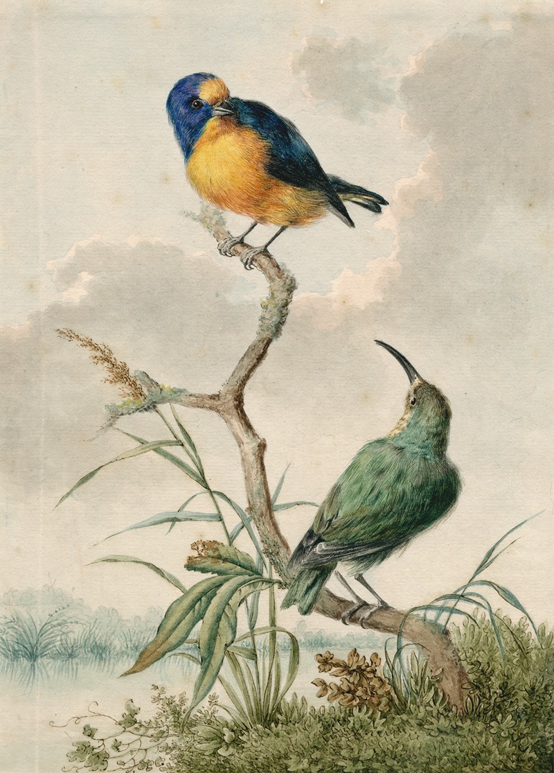 Two tropical birds 2 by Баренд Хендрик Тир — digital art print download