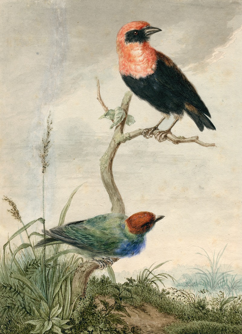 Two tropical birds by Баренд Хендрик Тир — digital art print download