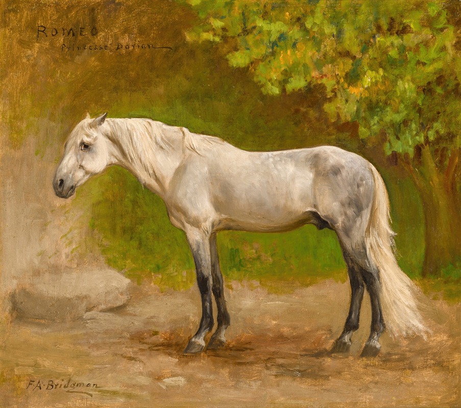 Romeo, a Stallion in a Landscape — Фредерик Артур Бриджман