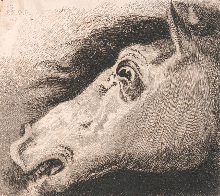 Head of a Horse — Edward Pryce Owen