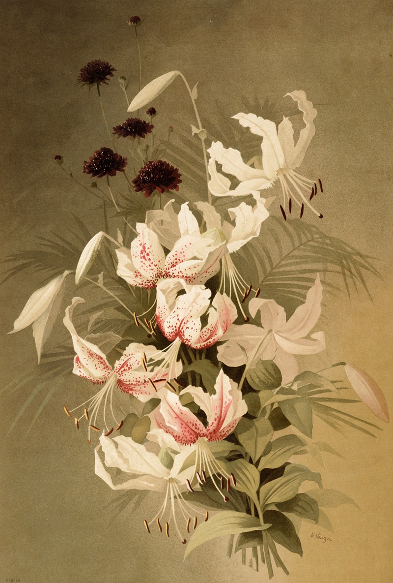 Lis du Japon ; Japanse lelie — E. Vouga