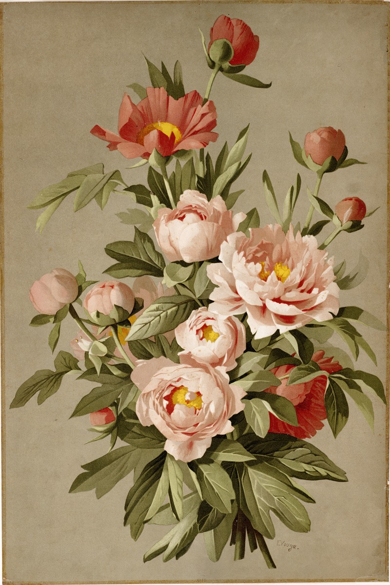 Paeonia officinalis ; klaverzuring by E. Vouga — digital art print download