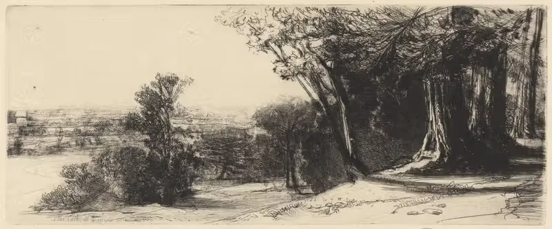 The Lark at Heaven's Gate Sings — Francis Seymour Haden