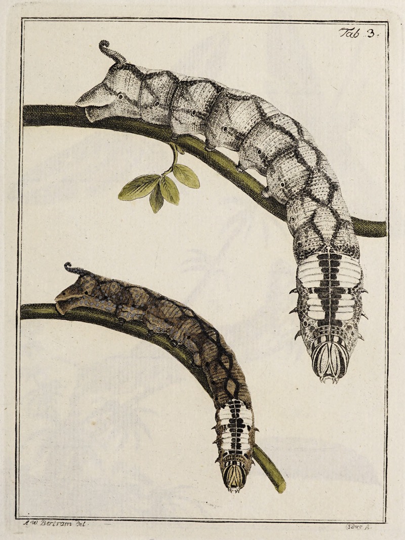 Archives de l'histoire des insectes Pl.03 — Johann Caspar Fuessli