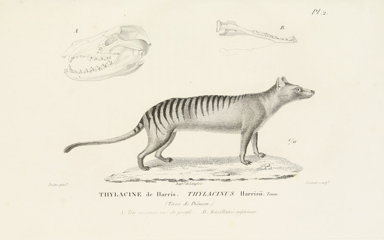 Centurie zoologique Pl.02 — René-Primevère Lesson