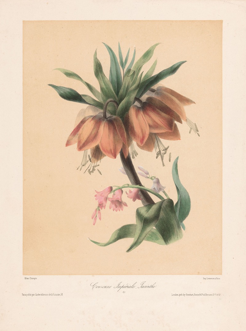 Keizerskroon en Hyacint by Elisa-Honorine Champin, 1841-1857 — digital art print download