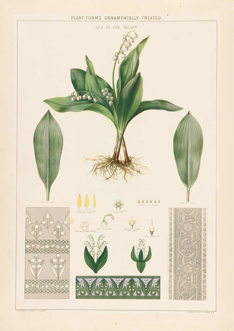 Lily of the valley — Grace Carter