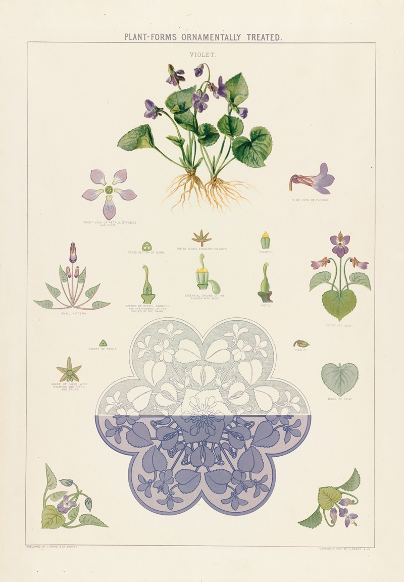 Violet by Grace Carter, 1874 — digital art print download