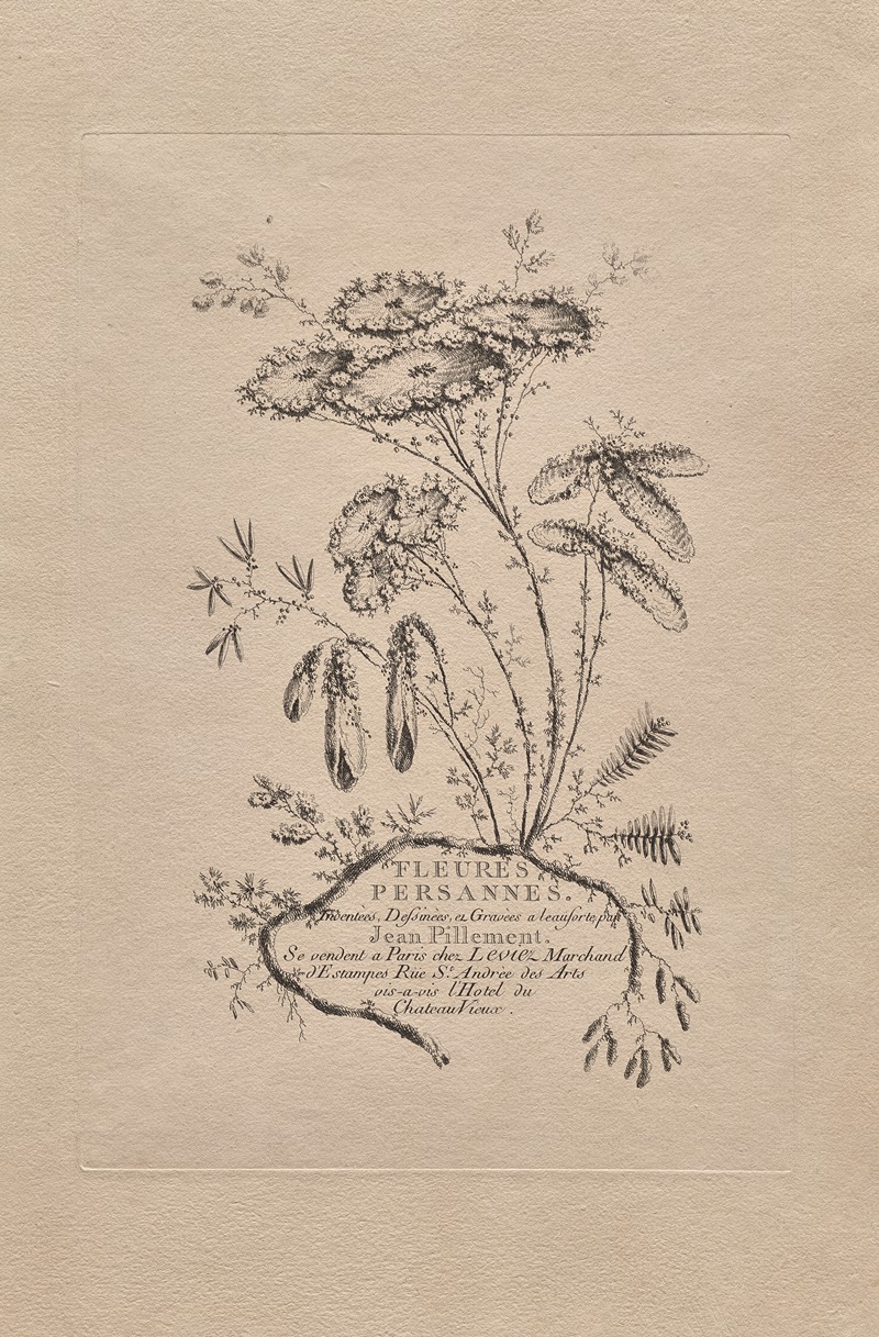 Persian Flowers Pl.1 by Жан-Батист Пилеман, 1755 — digital art print download