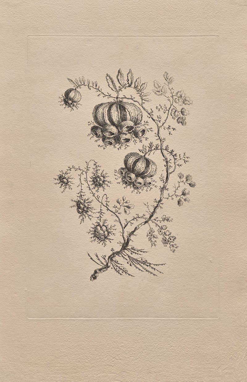 Persian Flowers Pl.4 by Жан-Батист Пилеман, 1755 — digital art print download