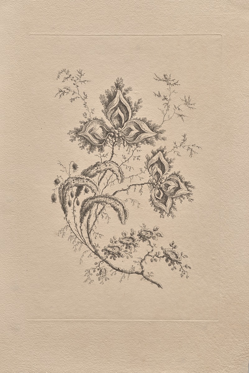 Persian Flowers Pl.5 by Жан-Батист Пилеман, 1755 — digital art print download