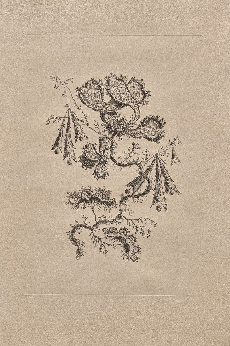 Persian Flowers Pl.6 by Жан-Батист Пилеман, 1755 — digital art print download