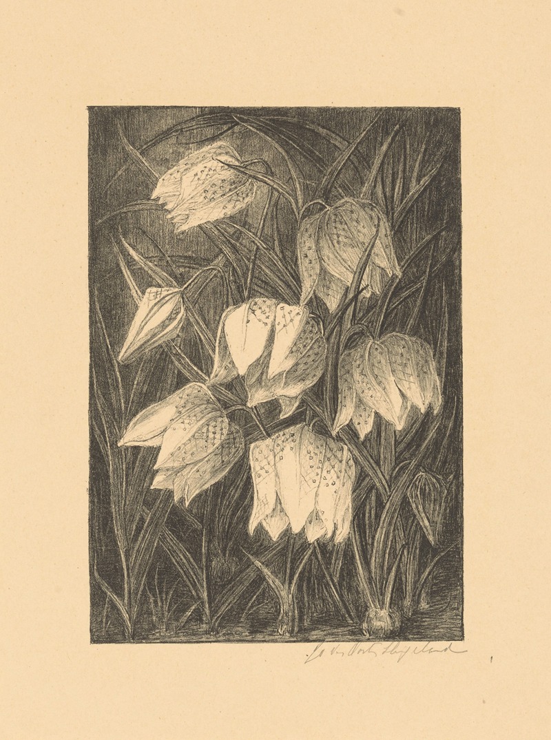 Kievitsbloemen by Йо ван Остен Слингеланд — digital art print download